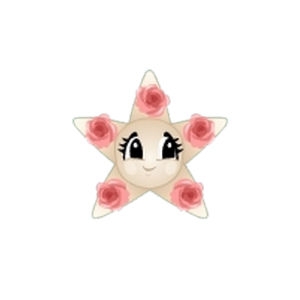 Rose Star Cleaner